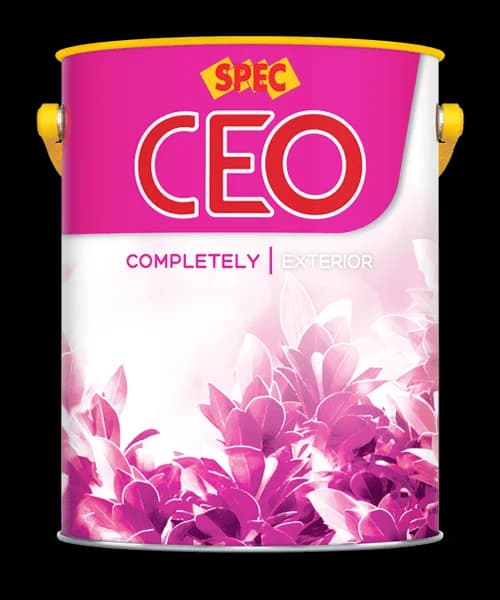 Bao bì SPEC CEO COMPLETELY EXTERIOR